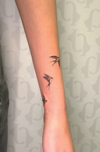 oiseau Marianne rive-sud