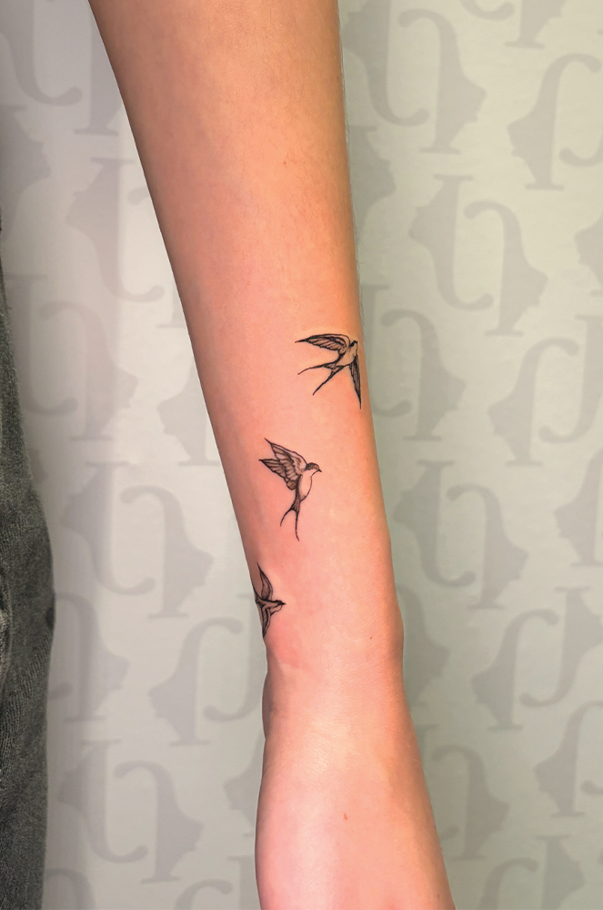 oiseau Marianne rive-sud